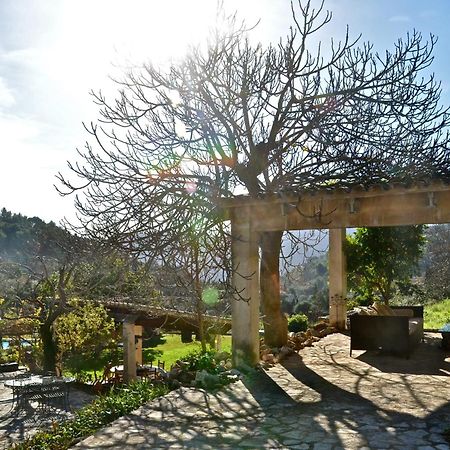 Sa Vall Valldemossa Ngoại thất bức ảnh
