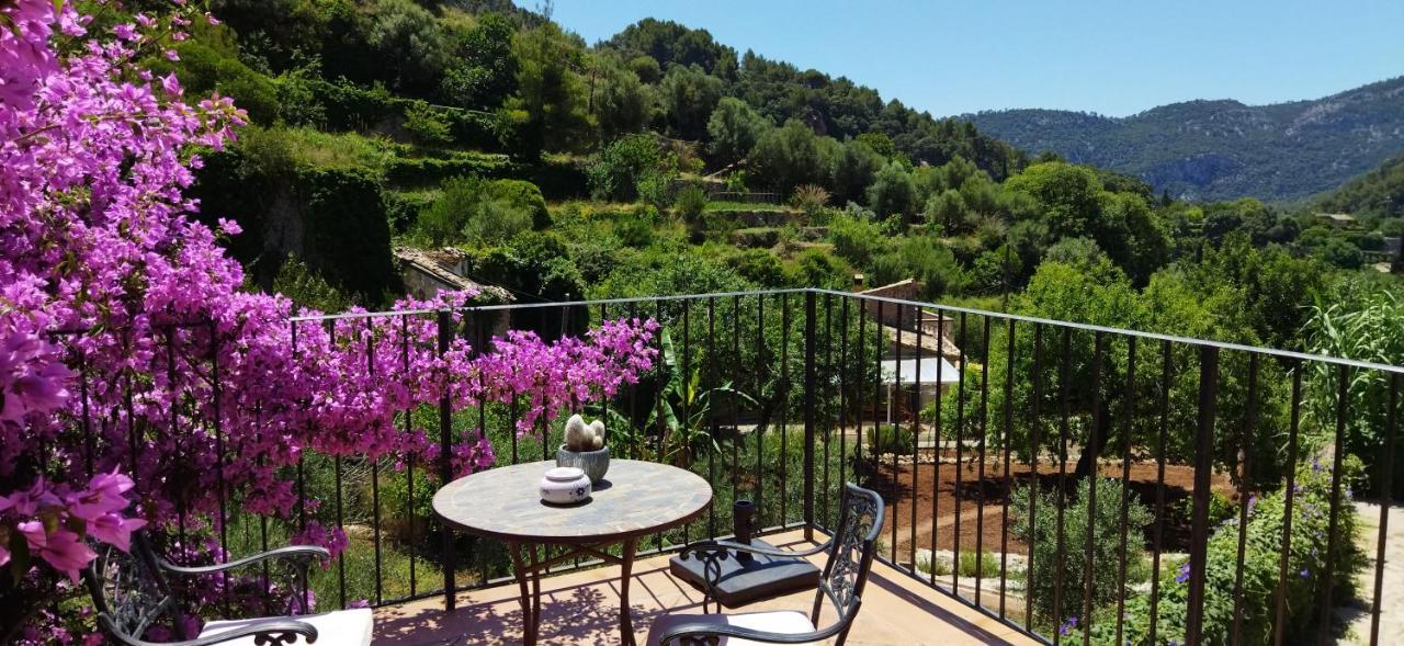 Sa Vall Valldemossa Ngoại thất bức ảnh