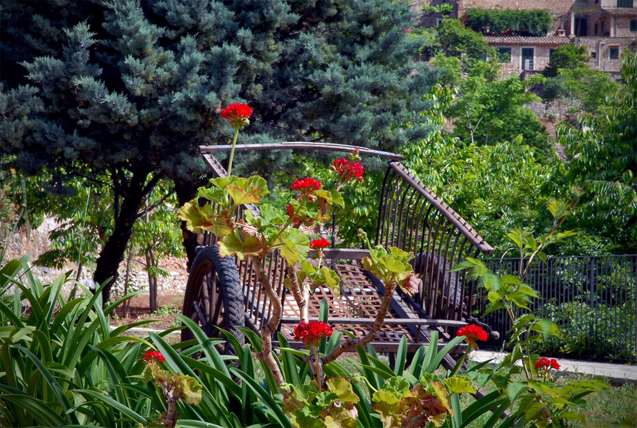 Sa Vall Valldemossa Ngoại thất bức ảnh