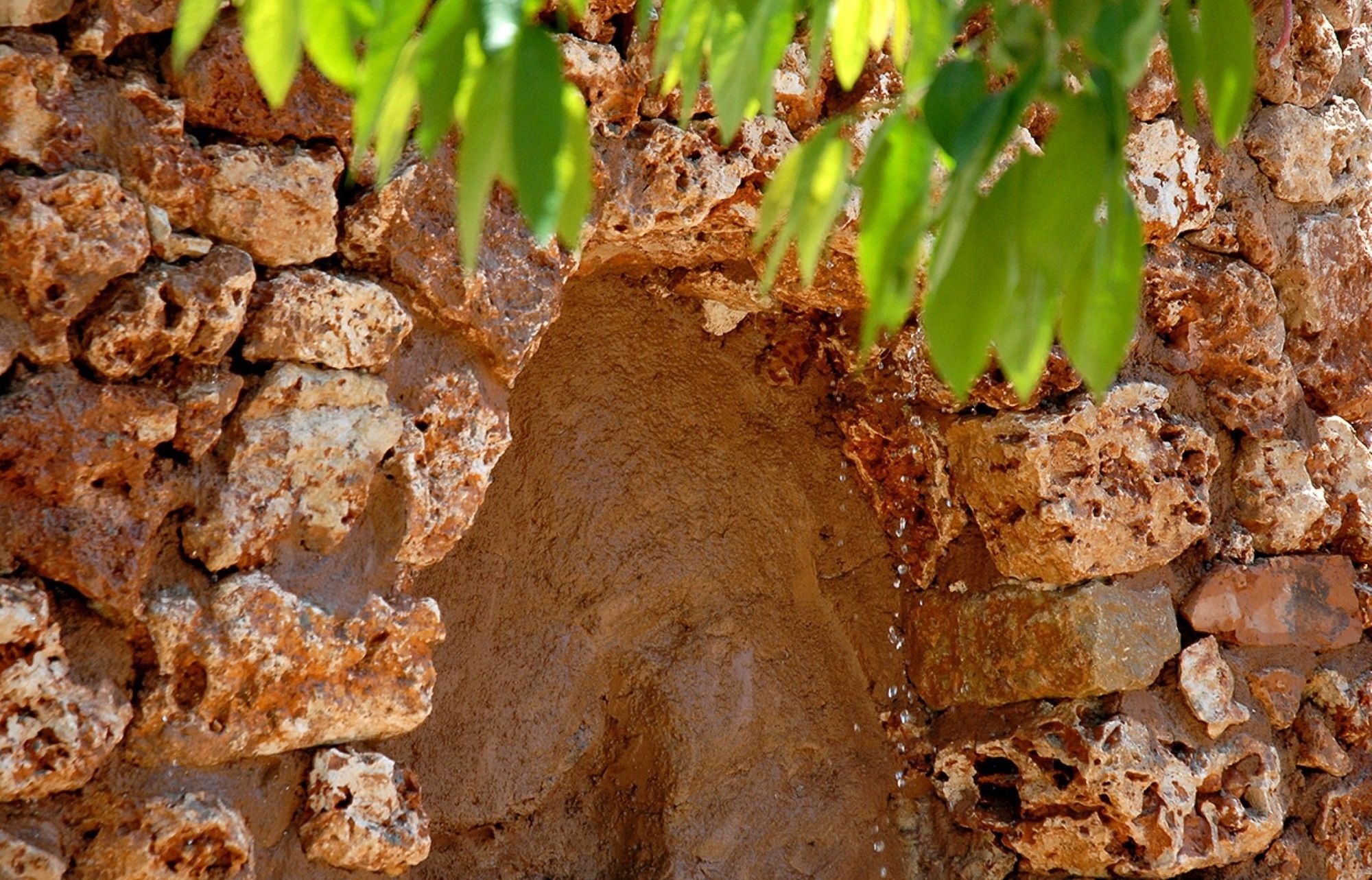 Sa Vall Valldemossa Ngoại thất bức ảnh
