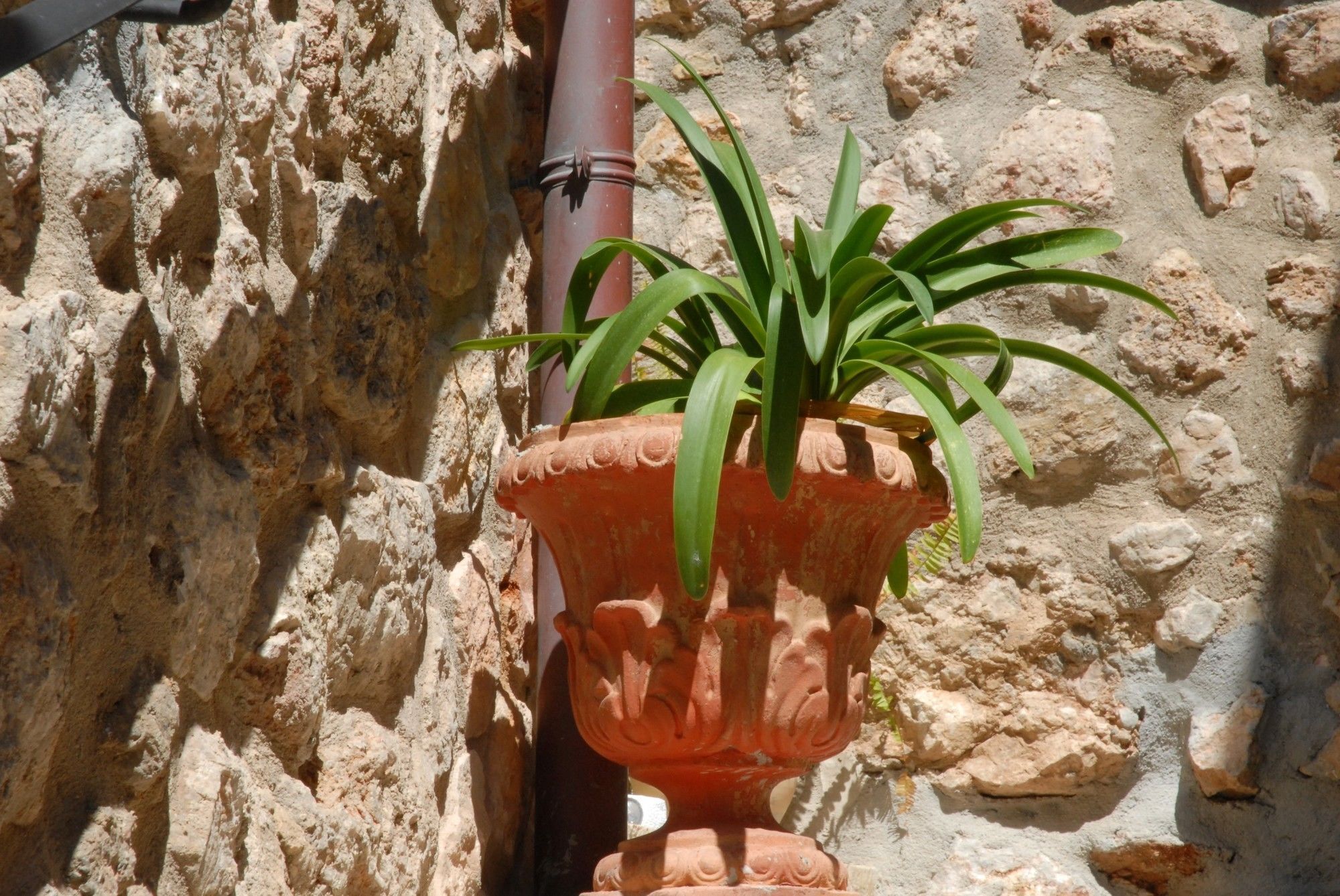 Sa Vall Valldemossa Ngoại thất bức ảnh